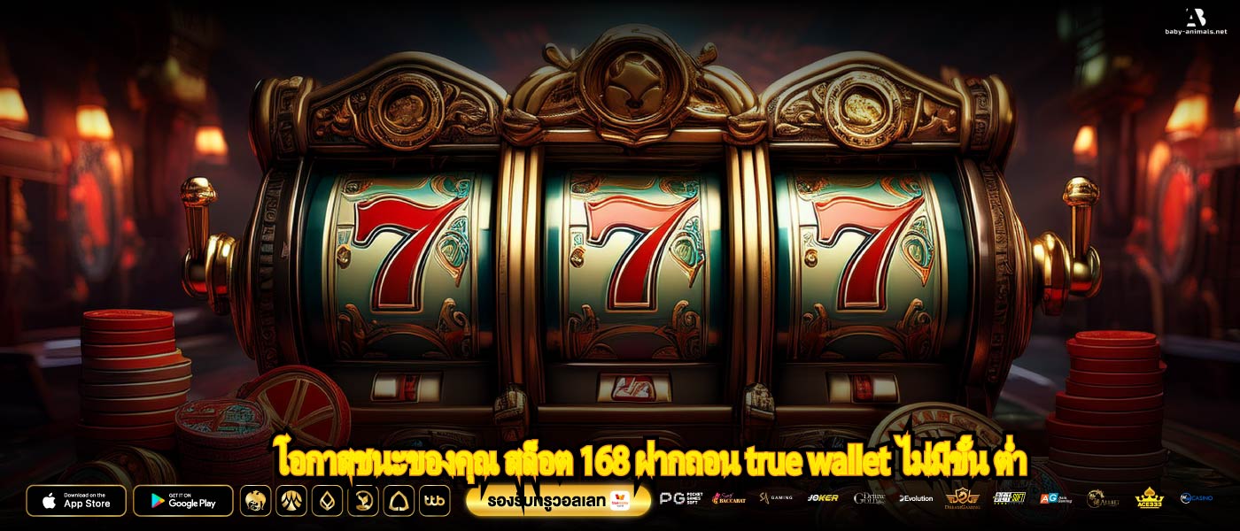 โอกาสชนะของคุณ สล็อต 168 ฝากถอน true wallet ไม่มีขั้น ต่ำ