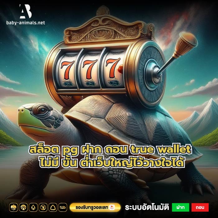 สล็อต pg ฝาก ถอน true wallet ไม่มี ขั้น ต่ำเว็บใหญ่ไว้วางใจได้